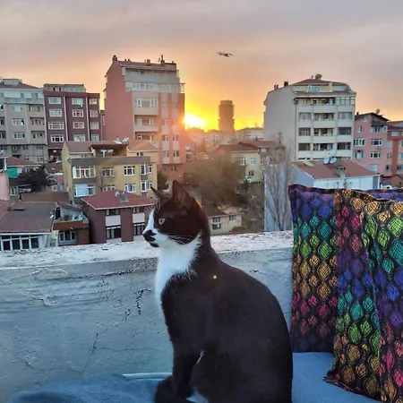 Cat House * Κωνσταντινούπολη