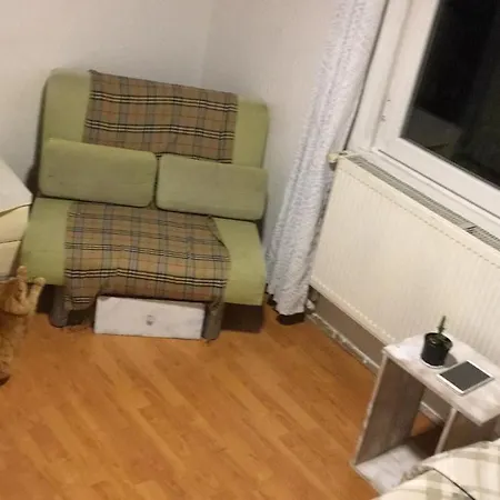 Cat House Bed and Breakfast *